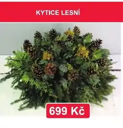 Fortel Kytice lesní nabídka