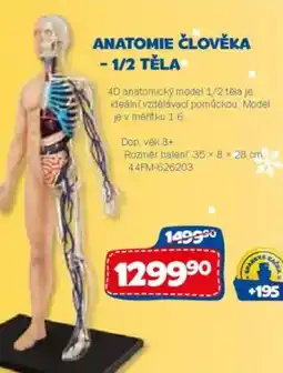 Sparkys Anatomie člověka - 1/2 těla nabídka