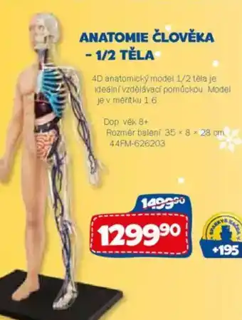 Sparkys Anatomie člověka - 1/2 těla nabídka