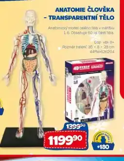 Sparkys Anatomie člověka - transparentní tělo nabídka