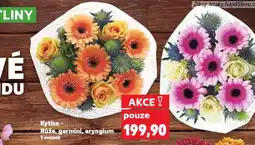 Kaufland Kytice germini nabídka
