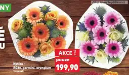 Kaufland Kytice eryngium nabídka