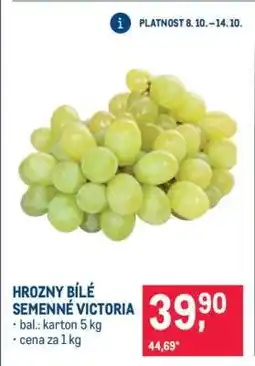Makro HROZNY BÍLÉ SEMENNÉ VICTORIA nabídka