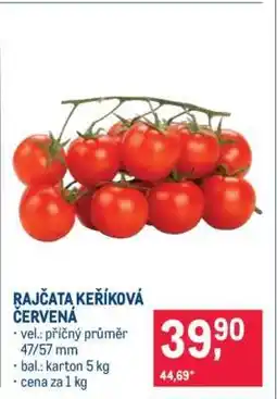 Makro Rajčata keříková červená nabídka