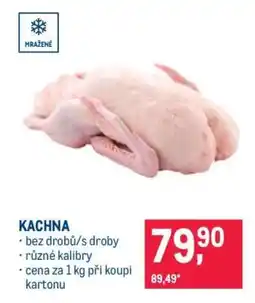 Makro KACHNA nabídka