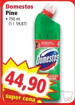 Norma Domestos Pine nabídka