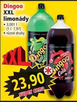 Norma Dingoo XXL limonády nabídka