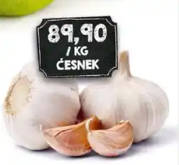 Jip ČESNEK nabídka