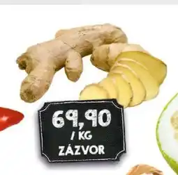 Jip Zázvor nabídka