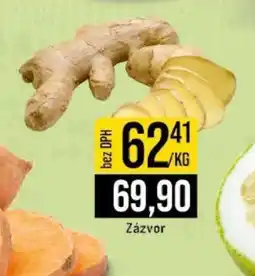 Jip Zázvor nabídka