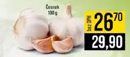 Jip ČESNEK nabídka
