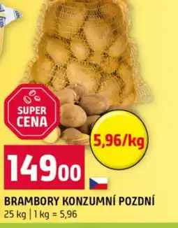 Terno Brambory konzumní pozdní nabídka
