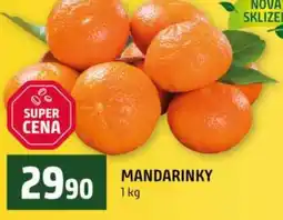 Terno Mandarinky nabídka