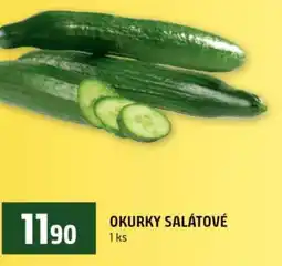 Terno Okurky salátové nabídka
