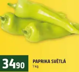 Terno Paprika světlá nabídka