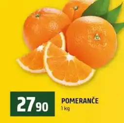 Terno Pomeranče nabídka