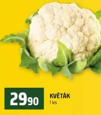 Terno Květák nabídka