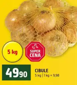 Terno Cibule nabídka