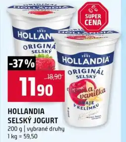 Terno Hollandia selský jogurt nabídka