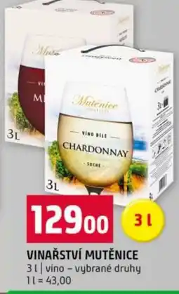 Terno Vinařství mutěnice nabídka