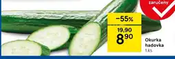 Tesco Okurka hadovka nabídka