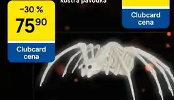 Tesco Halloweenská dekorace kostra pavouka nabídka