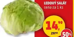 Penny Market Ledový salát nabídka