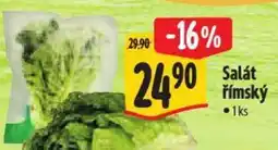 Albert Salát rimsky nabídka