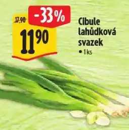Albert Cibule lahůdková svazek nabídka