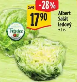 Albert Albert Salát ledový nabídka