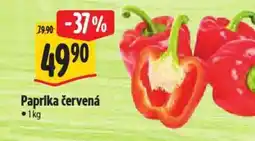 Albert Paprika červená nabídka