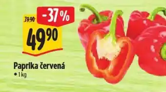 Albert Paprika červená nabídka