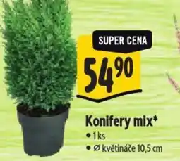 Albert Konifery mix nabídka
