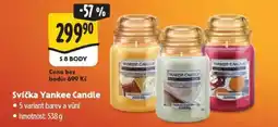 Albert Svíčka Yankee Candle nabídka