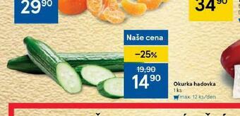 Tesco Okurka hadovka nabídka