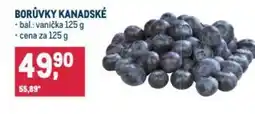 Makro Borůvky kanadské nabídka