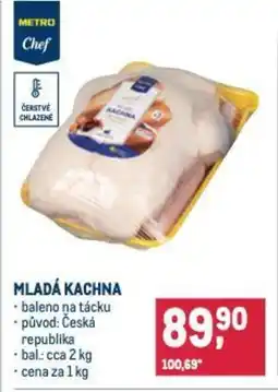 Makro Mladá kachna nabídka