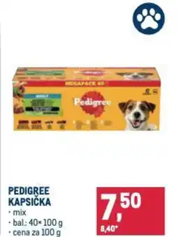Makro Pedigree kapsička nabídka