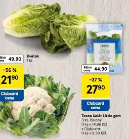 Tesco Salát little gem nabídka