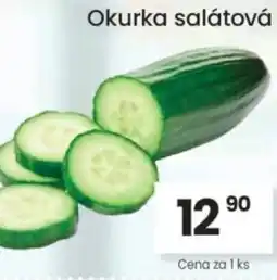 Kubík potraviny Okurka salátová nabídka