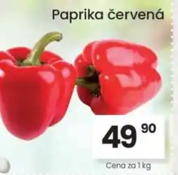 Kubík potraviny Paprika červená nabídka