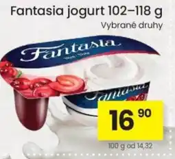 Kubík potraviny Fantasia jogurt nabídka