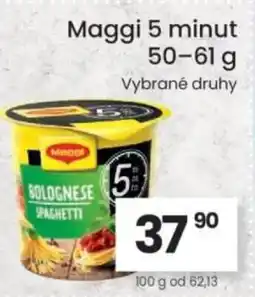 Kubík potraviny Maggi 5 minut nabídka