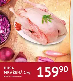 Coop hb Husa mražená nabídka