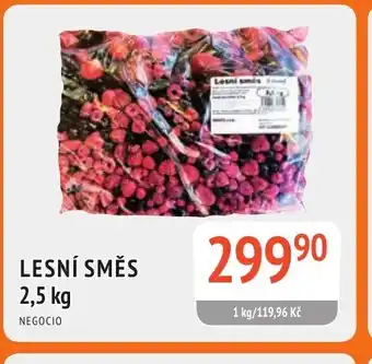 Coop hb Lesní směs nabídka