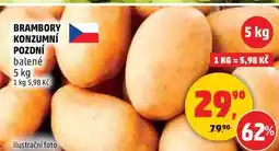 Penny Market BRAMBORY KONZUMNÍ POZDNÍ balené, 5 kg nabídka