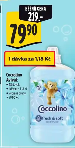 Albert Coccolino Aviváž nabídka