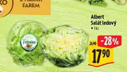Albert Salát ledový nabídka