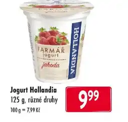 Qanto Jogurt Hollandia nabídka