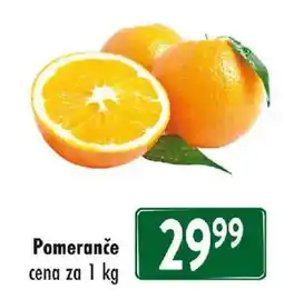 Qanto Pomeranče nabídka